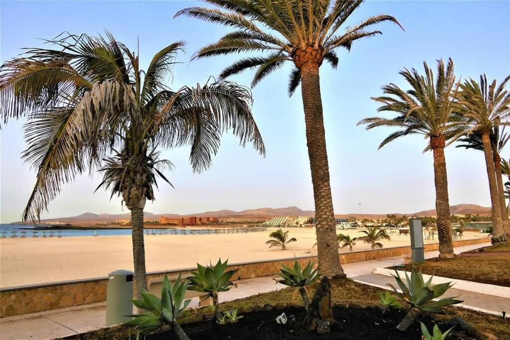 Casa Bailey, Caleta De Fusteアパートメント エクステリア 写真